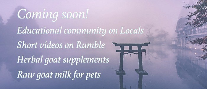 Coming soon to Locals & Rumble. Herbal goat dewormer. Raw goat milk for pets